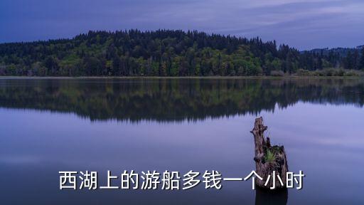 西湖環線游輪價格多少錢，西湖游船的價格...
